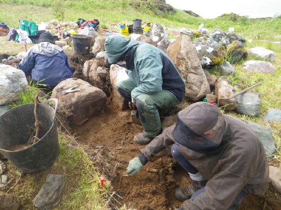 Digging at Gairloch with Wedigs